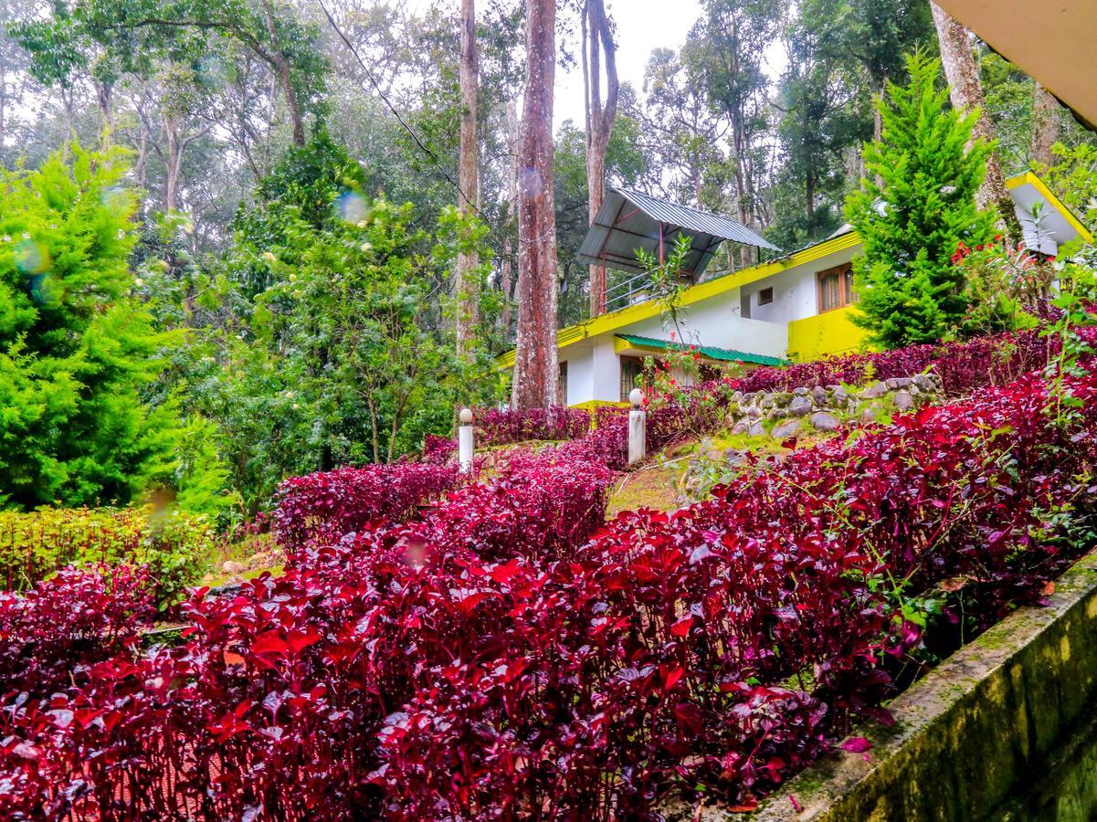 Oyo 4651 Woodpecker Resort Munnar Buitenkant foto
