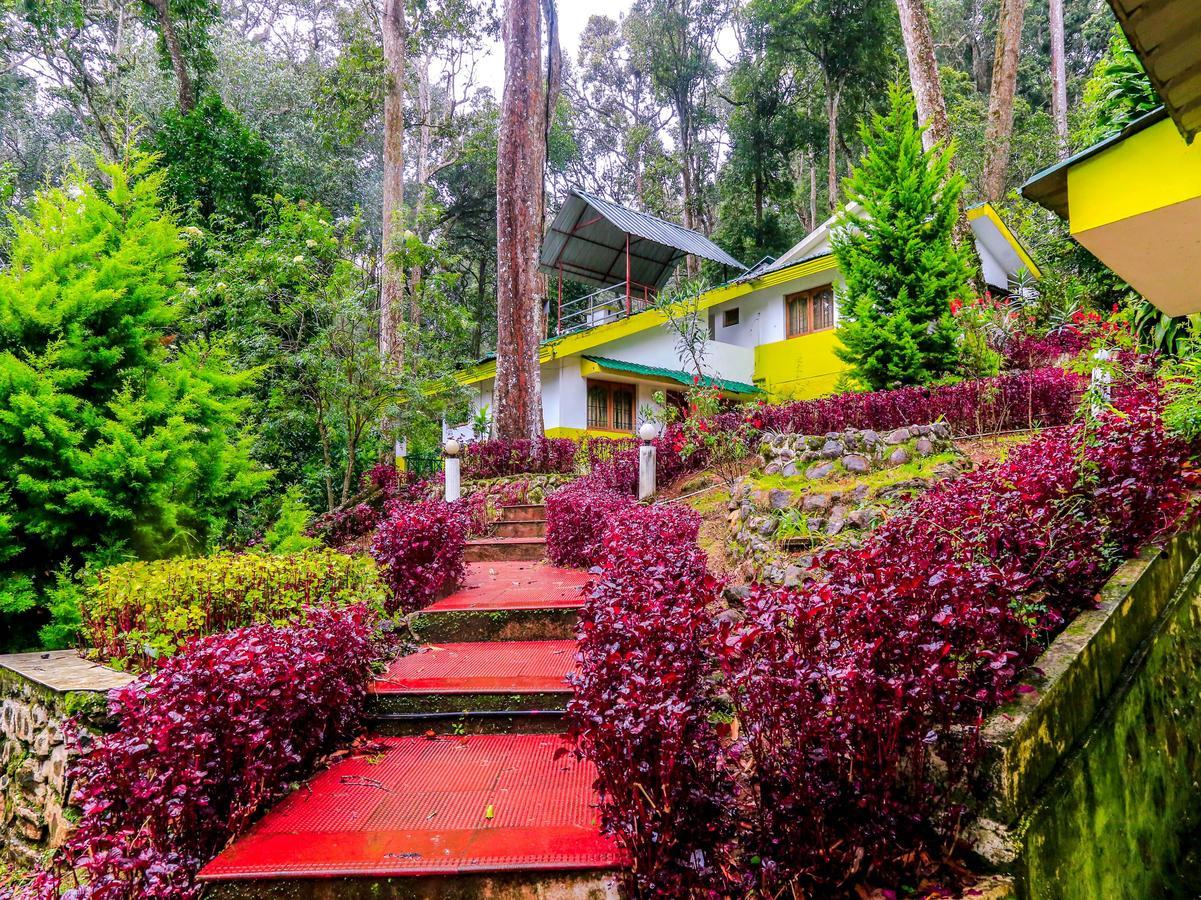 Oyo 4651 Woodpecker Resort Munnar Buitenkant foto